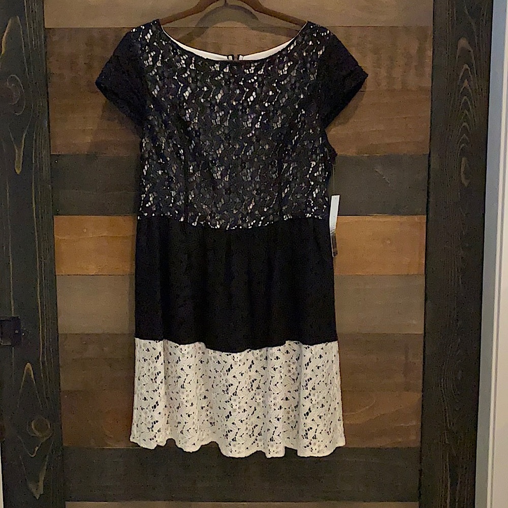 Kensie Black and White Lace Fit and Flare Dress